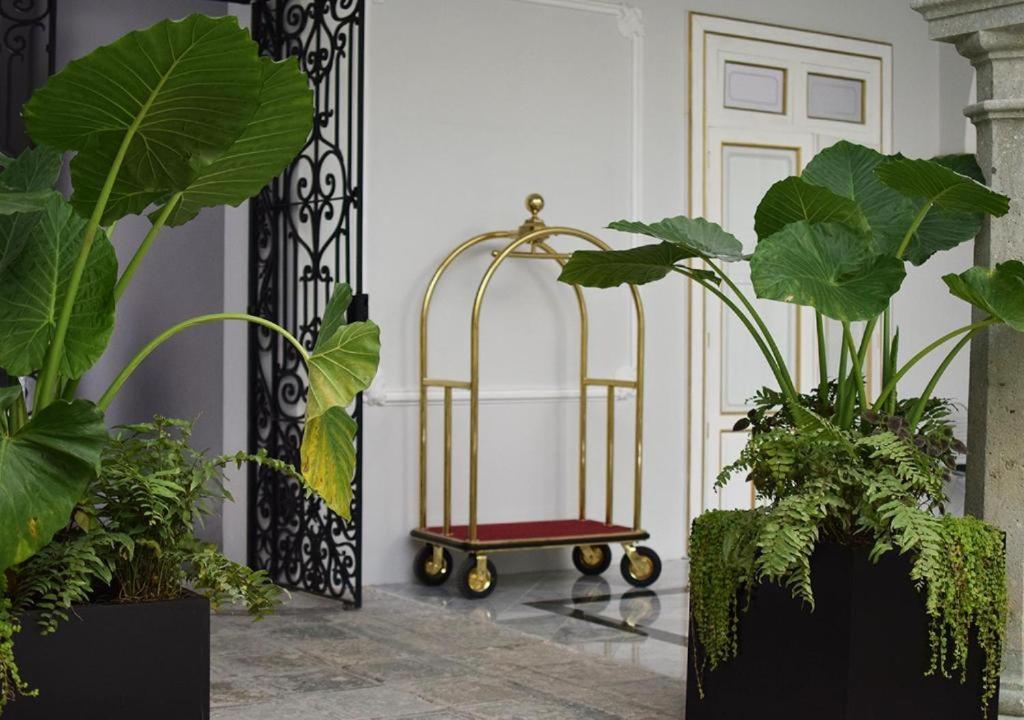 Casa Hidalgo Hotel Boutique Oaxaca Luaran gambar